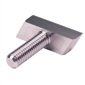 Stainless Steel T Head Screws
